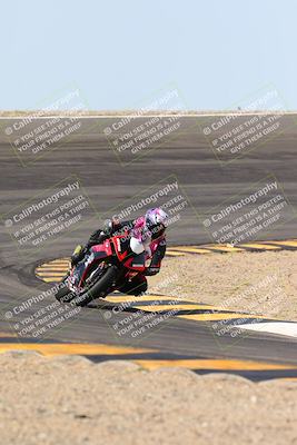 media/Mar-09-2024-SoCal Trackdays (Sat) [[bef1deb9bf]]/1-Bowl Exit (940am)/